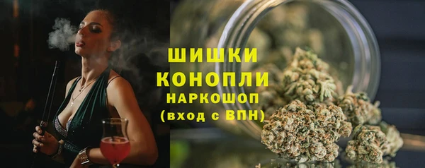 спайс Алзамай