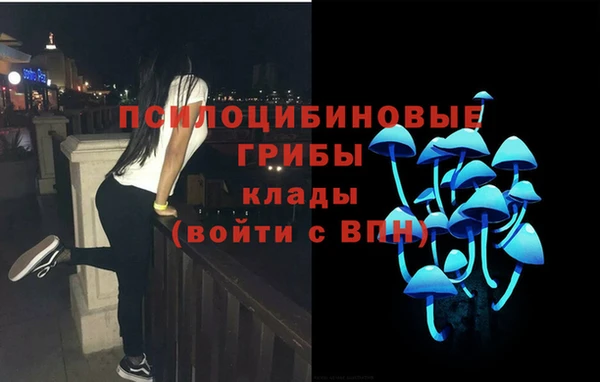 спайс Алзамай
