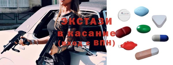индика Алексин