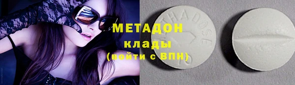 индика Алексин