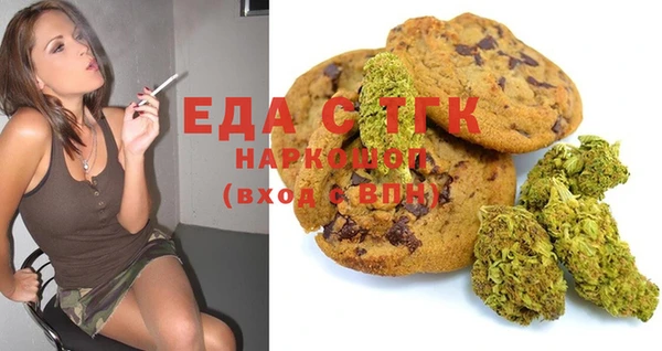 индика Алексин
