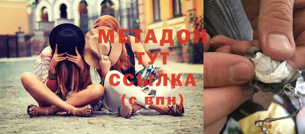 индика Алексин