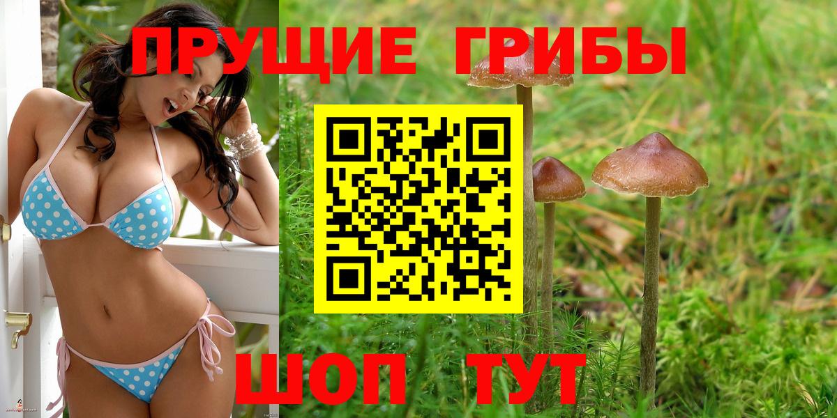 Галлюциногенные грибы Cubensis  Вход с VPN  Краснознаменск 