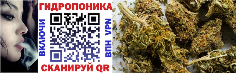 Бошки Шишки сатива Краснознаменск